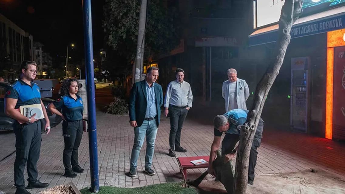 Bornova’da Gece Yarısı Zabıta Operasyonu: Fırınlara Sıkı Denetim, İşgallere Neşter!