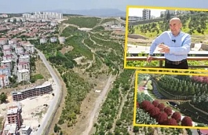 Portakal Vadisi Çürümeye mi Terk Edildi? Tartışma Büyükşehir Meclisi’ne Taşındı