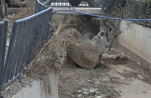İZSU Yarımada’da Kışa Hazır: 5 İlçede 398 Kilometrelik Altyapı Temizliği Yapıldı