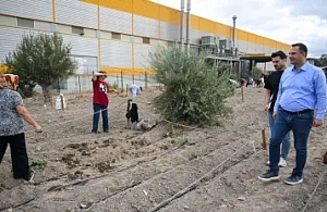 Bornova’da Kent Bostanlarında Kış Sezonu Başladı: 1160 Kadın Üretici Toprakla Buluştu