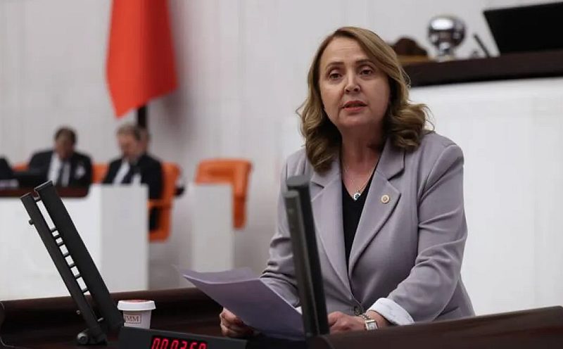 CHP'li Semra Dinçer'den Bakan Tekin'e Soru Önergesi: "Yüzbinlerce Otizmli Çocuk Eğitim Sisteminin Dışında"