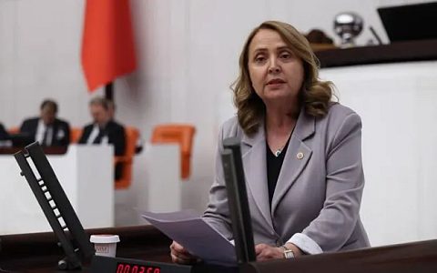 CHP'li Semra Dinçer'den Bakan Tekin'e Soru Önergesi: "Yüzbinlerce Otizmli Çocuk Eğitim Sisteminin Dışında"