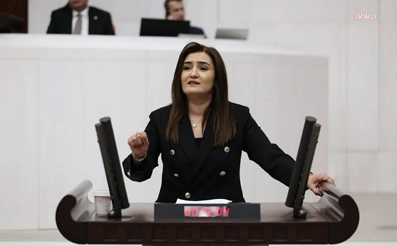 CHP'li Sevda Erdan Kılıç'tan Pijamalı Görüntü Servisine Tepki: "Siyasi Gösterinize Malzeme Yapacak Kadar mı Gözünüz Döndü?"