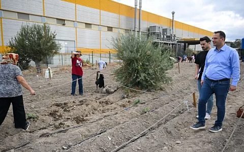 Bornova’da Kent Bostanlarında Kış Sezonu Başladı: 1160 Kadın Üretici Toprakla Buluştu