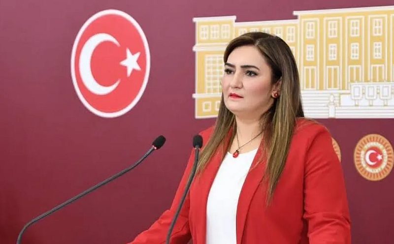 CHP'li Sevda Erdan Kılıç'tan Meclis'te Kritik Gündem: Batan Gemideki 9 Denizci, Mekke Anlaşması ve Okullarda Yemek Anketi