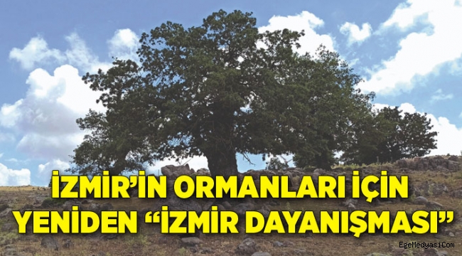 İzmir'in ormanları için dayanışma