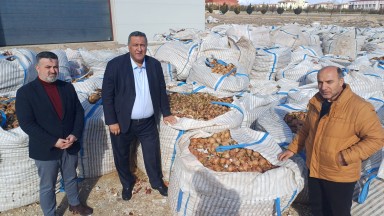 Niğde'de Soğanlar Neden Çillendi? Üretici Zararda, Çözüm Ne?