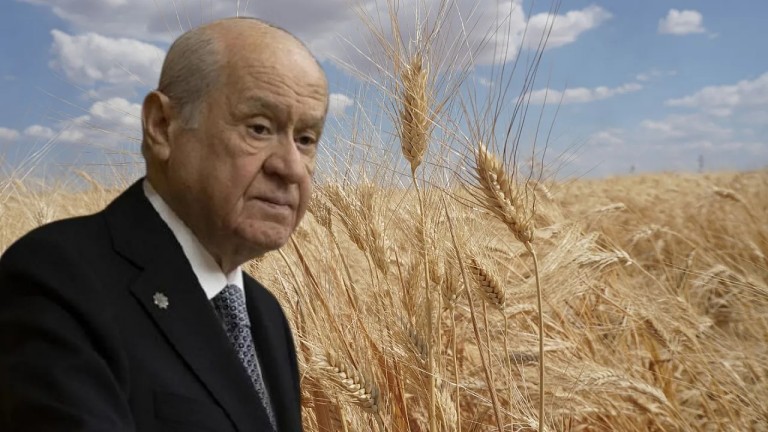 Bahçeli'nin Buğday Kampanyası Yoksulluğu Mu Gösteriyor? Ağbaba Ne Dedi?
