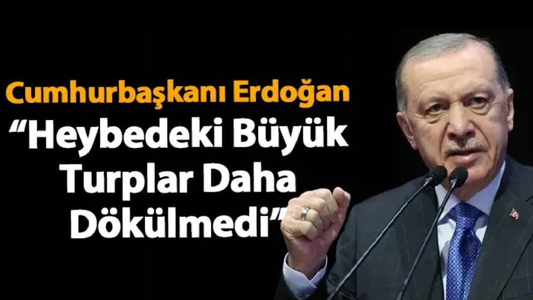 Tayyip Erdoğan: Heybedeki büyük turplar ortaya dökülmedi