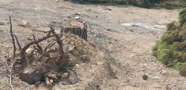 Küner'de Kaçak Yapılaşma İddiası! İlkay Çiçek Neden Sessiz? 