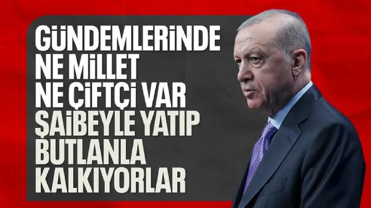 Erdoğan: Muhalefetin gündeminde ne tarım ne de çiftçi var