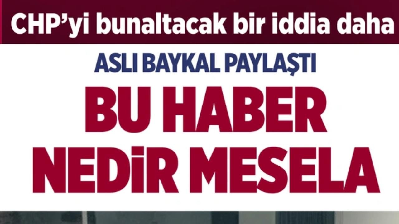 CHP'li Belediyelerdeki Soruşturmalar Artıyor: Aslı Baykal'dan Kritik Çağrı