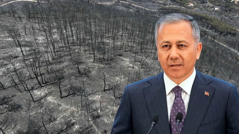 İzmir Orman Yangınları: Hasar Tespitleri Tamamlandı, 228 Konut Ağır Hasarlı