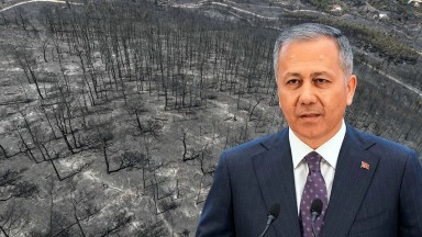 İzmir Orman Yangınları: Hasar Tespitleri Tamamlandı, 228 Konut Ağır Hasarlı