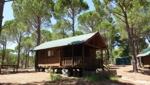 İzmir'de 'bungalov' çetesine baskın