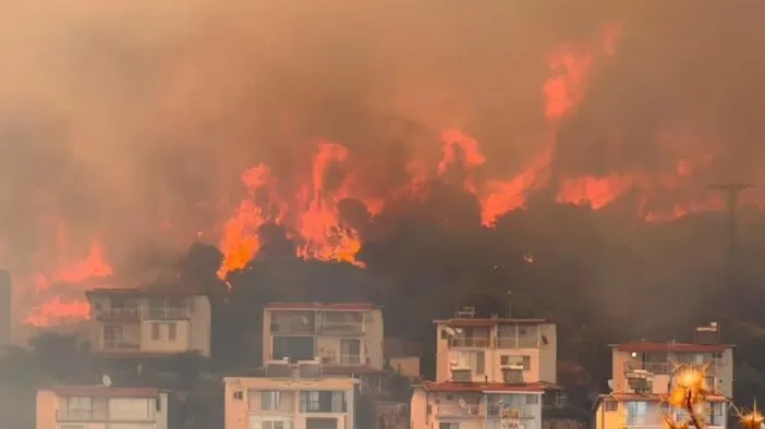 İzmir Dikili'de Korkutan Yangın! Çandarlı'da Alevler Makiliğe Sıçradı