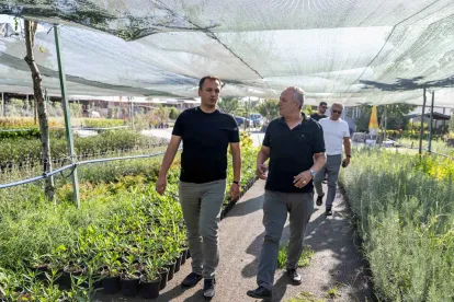 Bornova'ya 7 Dönümlük Lavanta Parkı: Mevlana Mahallesi'nde Yeşil Dönüşüm