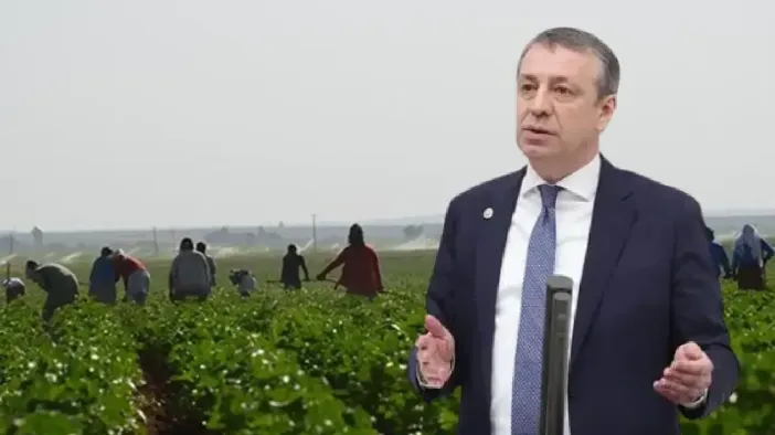CHP'li Türeli’den Mevsimlik Tarım İşçileri İçin Çağrı: "Güvencesizliğe Son Verilmeli"