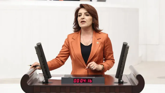 CHP'li Kış: "Ekonomik Kriz Derinleşiyor, Her Gün 28 Bin Yeni İcra Dosyası Açılıyor"