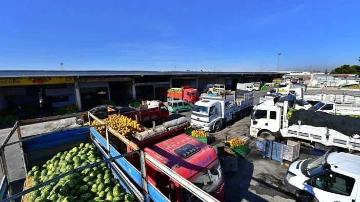 İzmir Hali’nde Konkordato Şoku: MHK Meyve Sebze İçin Geçici Mühlet Kararı