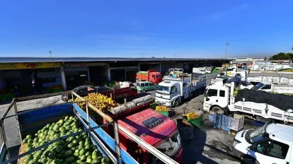 İzmir Hali’nde Konkordato Şoku: MHK Meyve Sebze İçin Geçici Mühlet Kararı