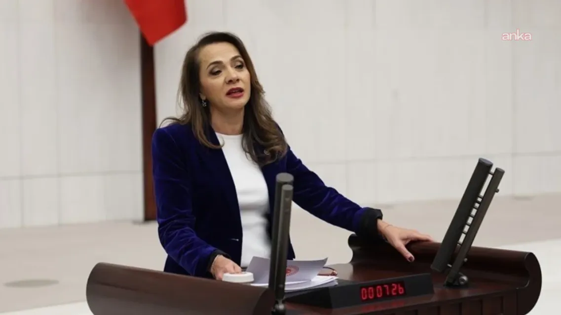 CHP’li İlgezdi’den Bakan Şimşek’e Özelleştirme Soru Önergesi: "Kamu Yararı ve Şeffaflık Çağrısı"