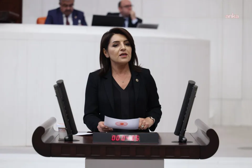 CHP'li Kış'tan "Fon Krizi" İçin Bakan Şimşek'e Üç Soru Önergesi: "Vatandaşın Parasını Kim Karşılayacak?"