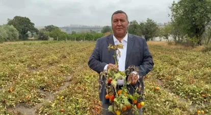 CHP'li Gürer'den Domates Çiftçisinin Çığlığı: "Artan Girdi Maliyetleri Nedeniyle Ürün Değerinde Satılamıyor"