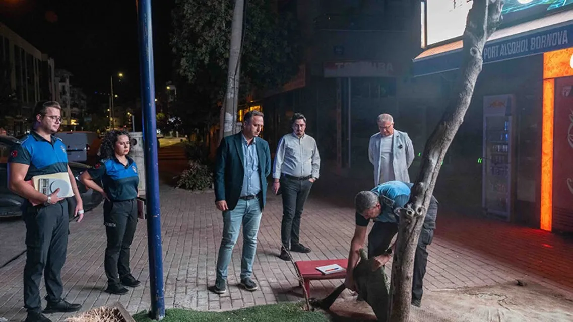 Bornova’da Gece Yarısı Zabıta Operasyonu: Fırınlara Sıkı Denetim, İşgallere Neşter!