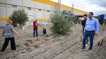 Bornova’da Kent Bostanlarında Kış Sezonu Başladı: 1160 Kadın Üretici Toprakla Buluştu