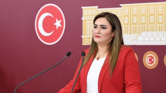 CHP'li Sevda Erdan Kılıç'tan Meclis'te Kritik Gündem: Batan Gemideki 9 Denizci, Mekke Anlaşması ve Okullarda Yemek Anketi