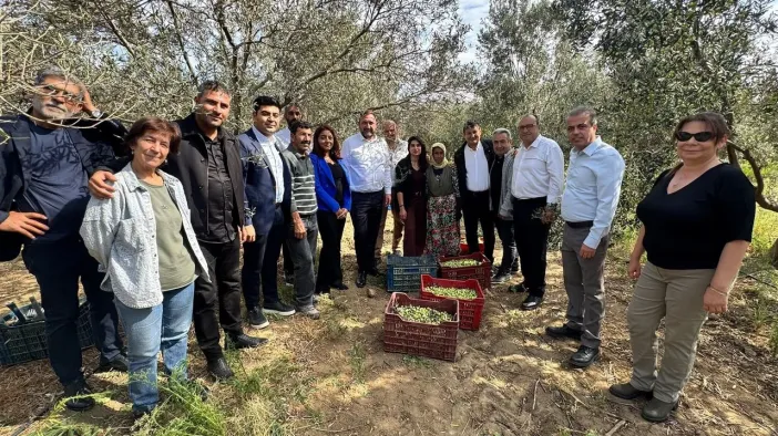 CHP İzmir İl Başkanı Utku Gümrükçü’den Dikili’de Zeytin Üreticisine Ziyaret: "Pek Çok Ürün Dalda Kalabilir!"